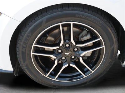2019 Ford Mustang Base