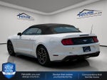 2019 Ford Mustang Base